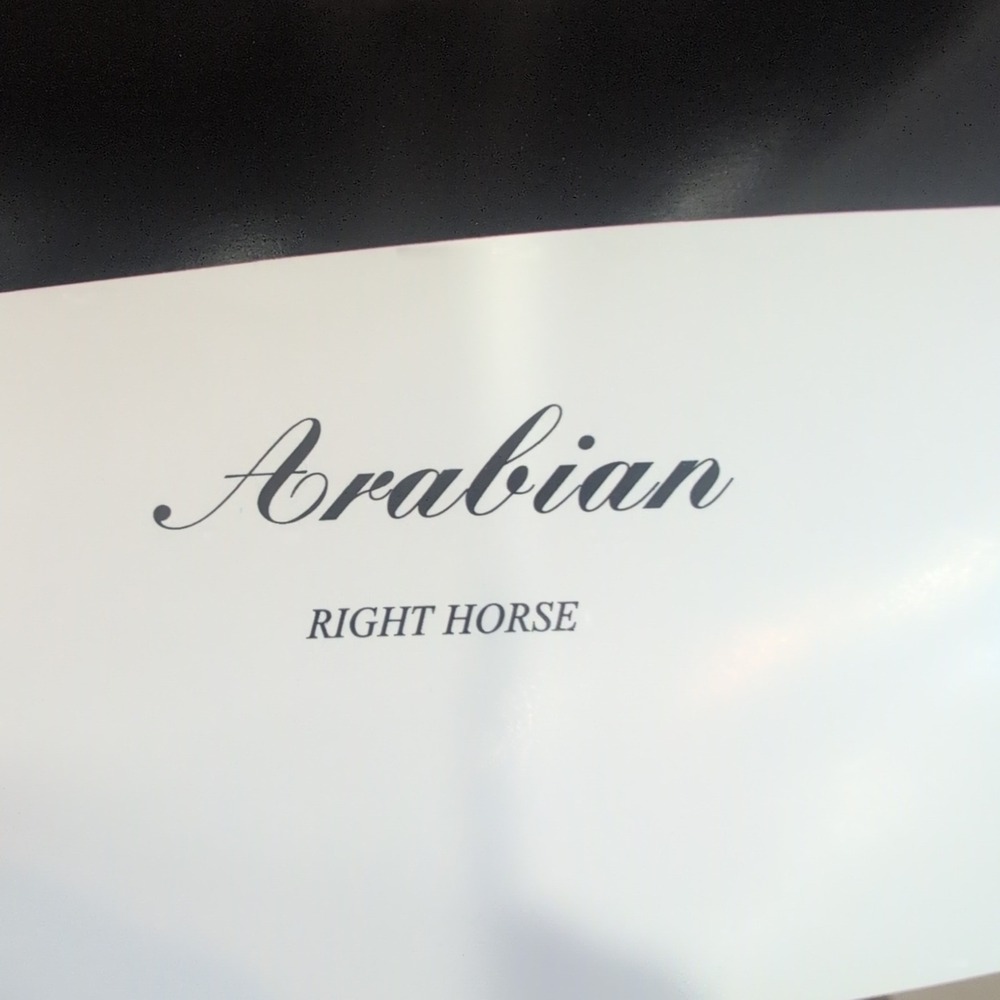 Sonia Torres Arabian Right Horse Artist's Print Torres Signed Numbered Limit Ed‎ - Picture 4 of 7